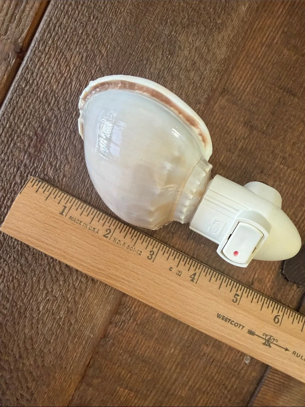 White Ceramic Sea Shell Night Light
